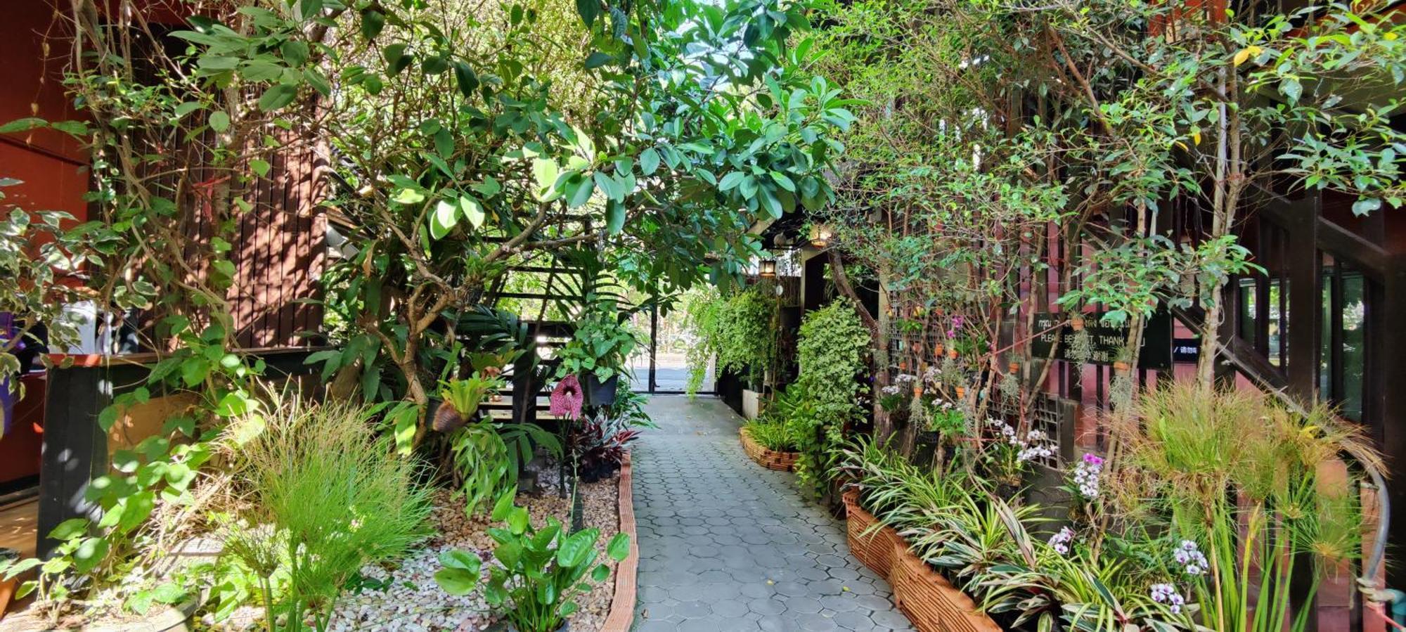 Hoh Guesthouse Čiang Mai Exteriér fotografie