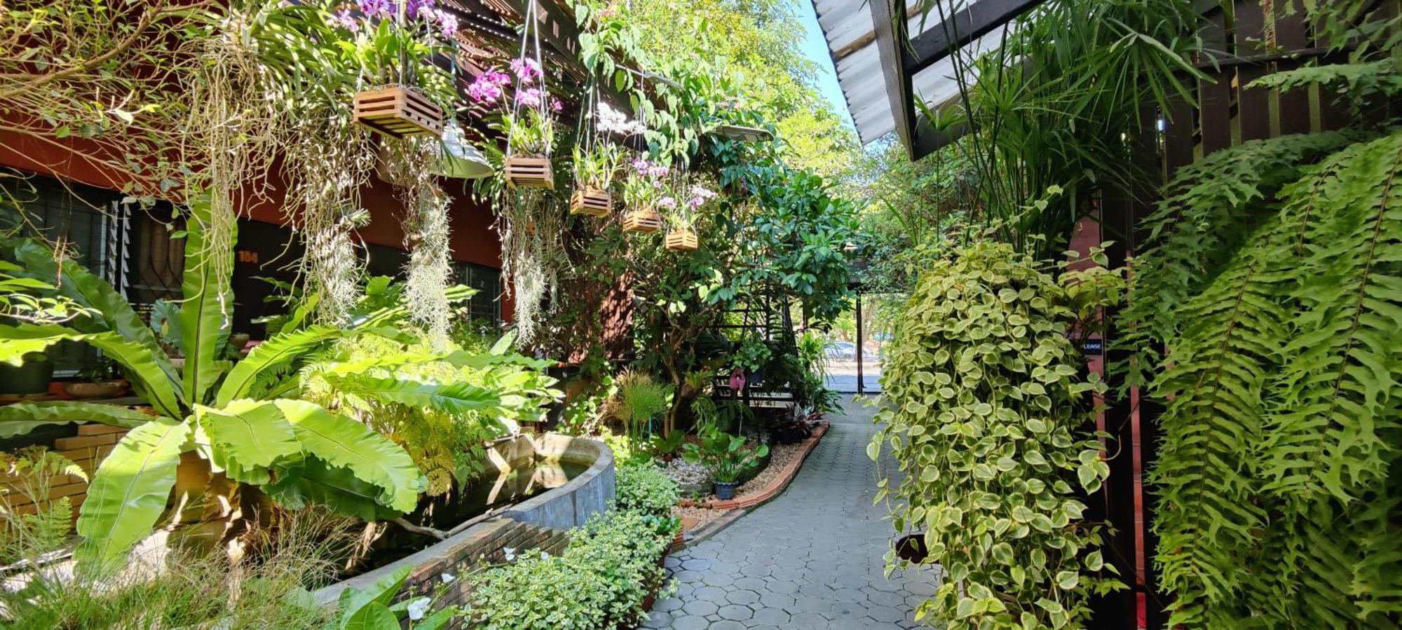 Hoh Guesthouse Čiang Mai Exteriér fotografie