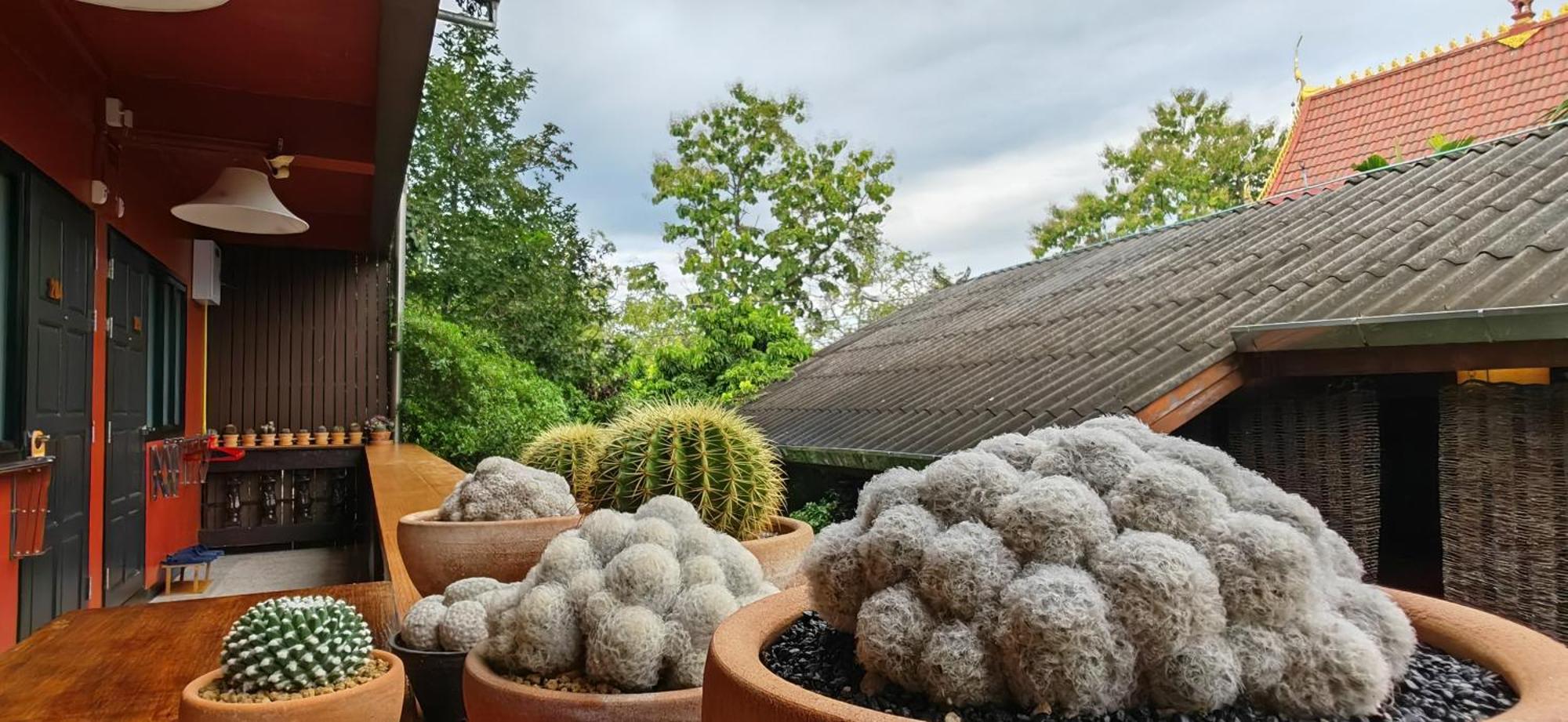 Hoh Guesthouse Čiang Mai Exteriér fotografie