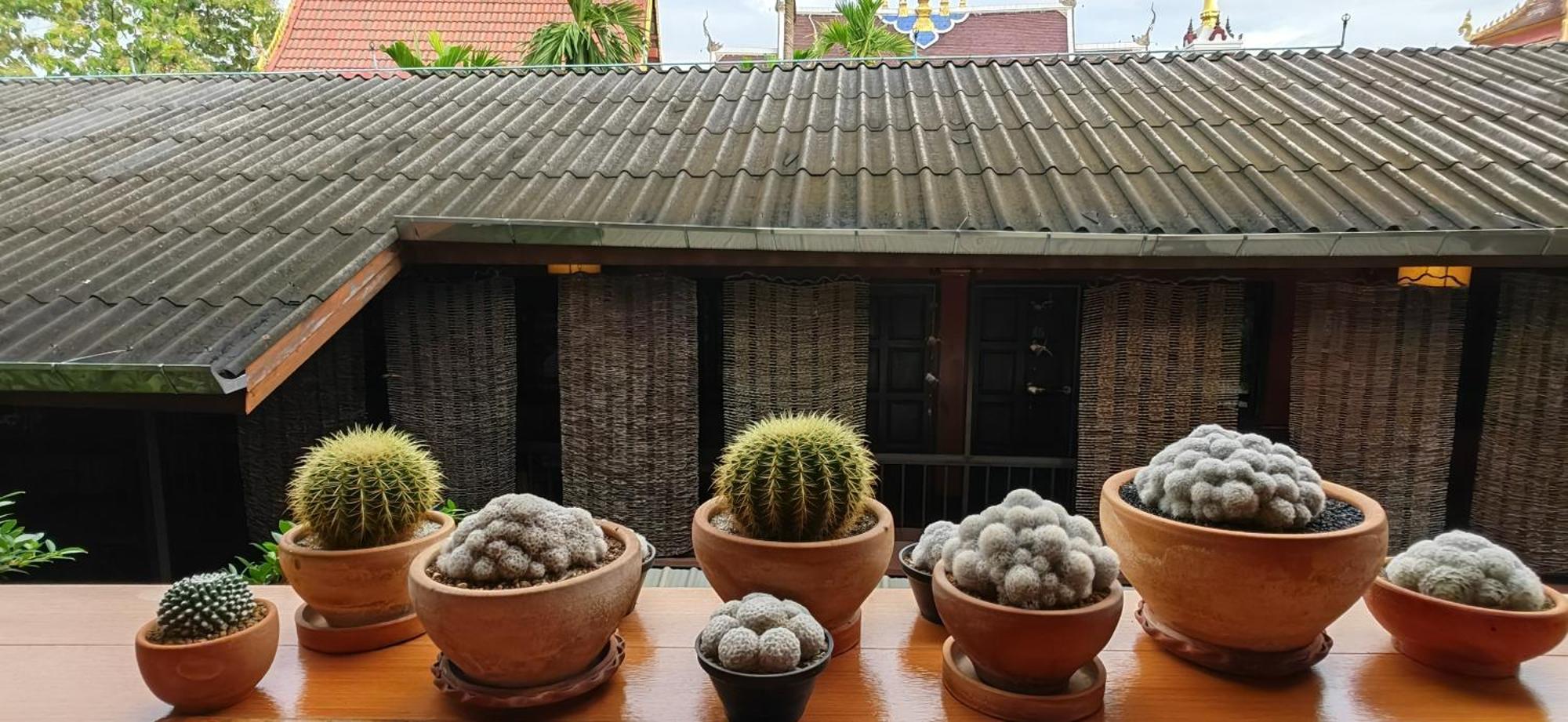 Hoh Guesthouse Čiang Mai Exteriér fotografie