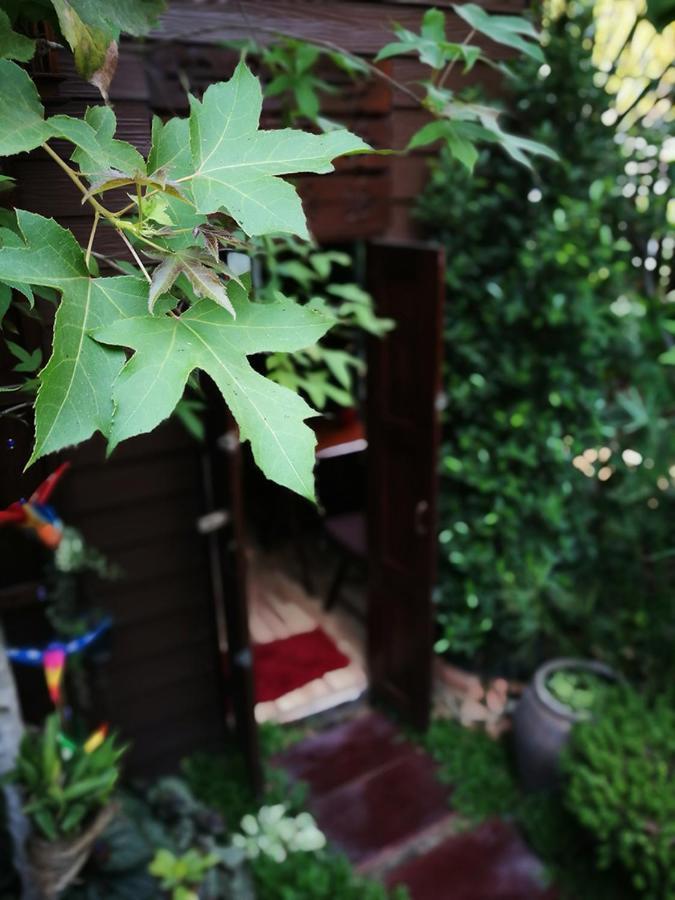 Hoh Guesthouse Čiang Mai Exteriér fotografie